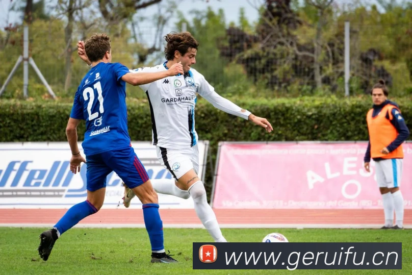 爱游戏yax官网下载平台生态图